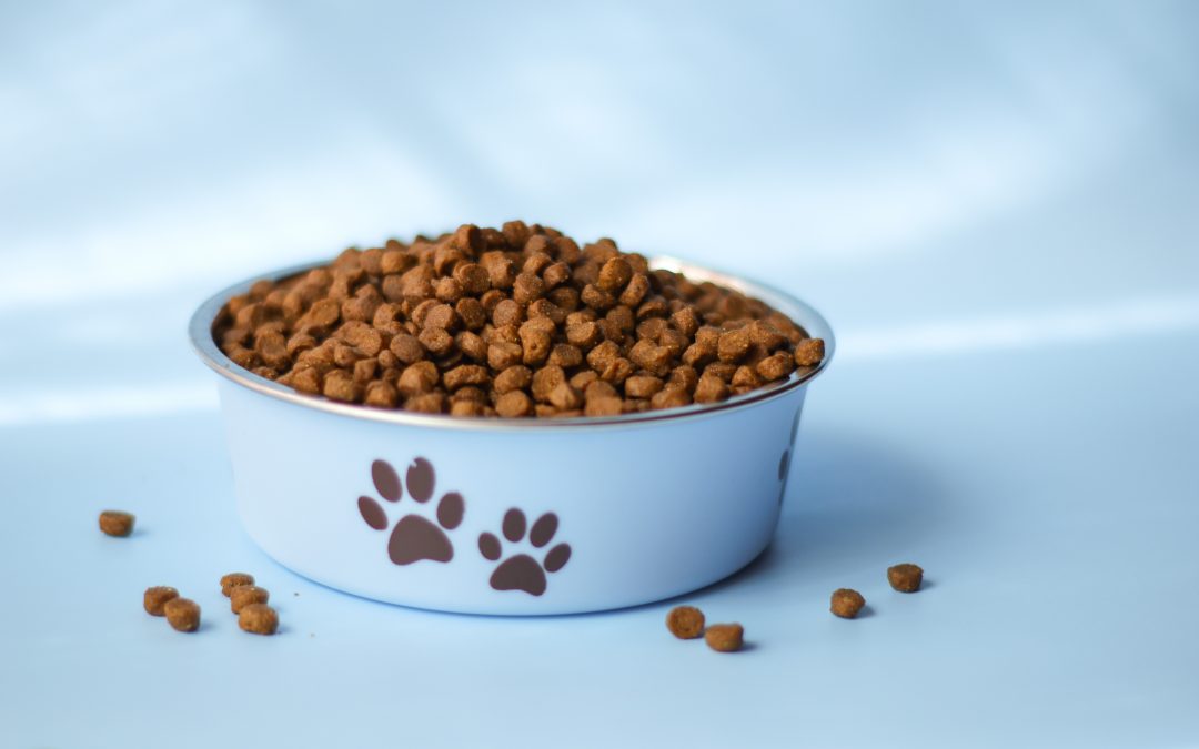 How To Choose The Best Dog Food For Your Dog